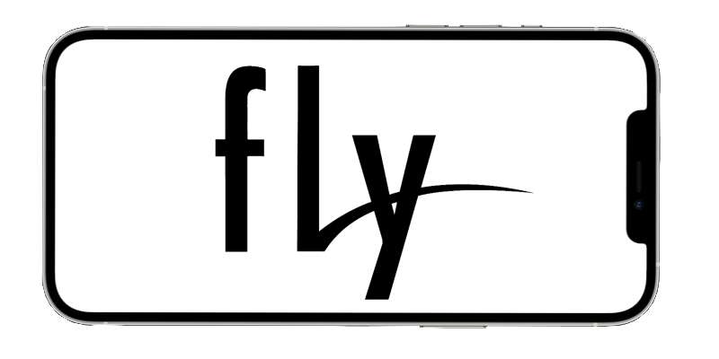 fly